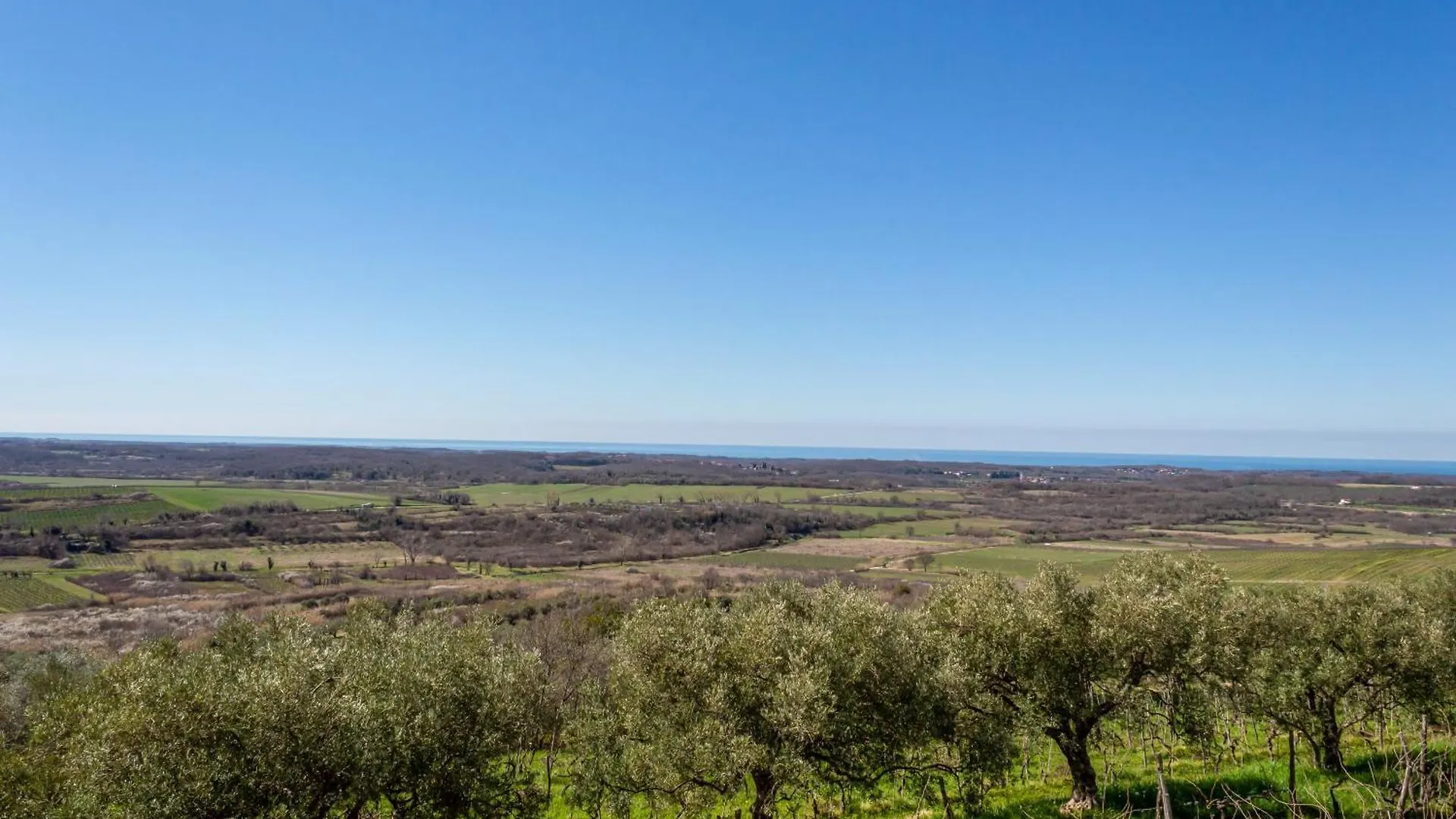 Villa Sofia Buje Holiday home