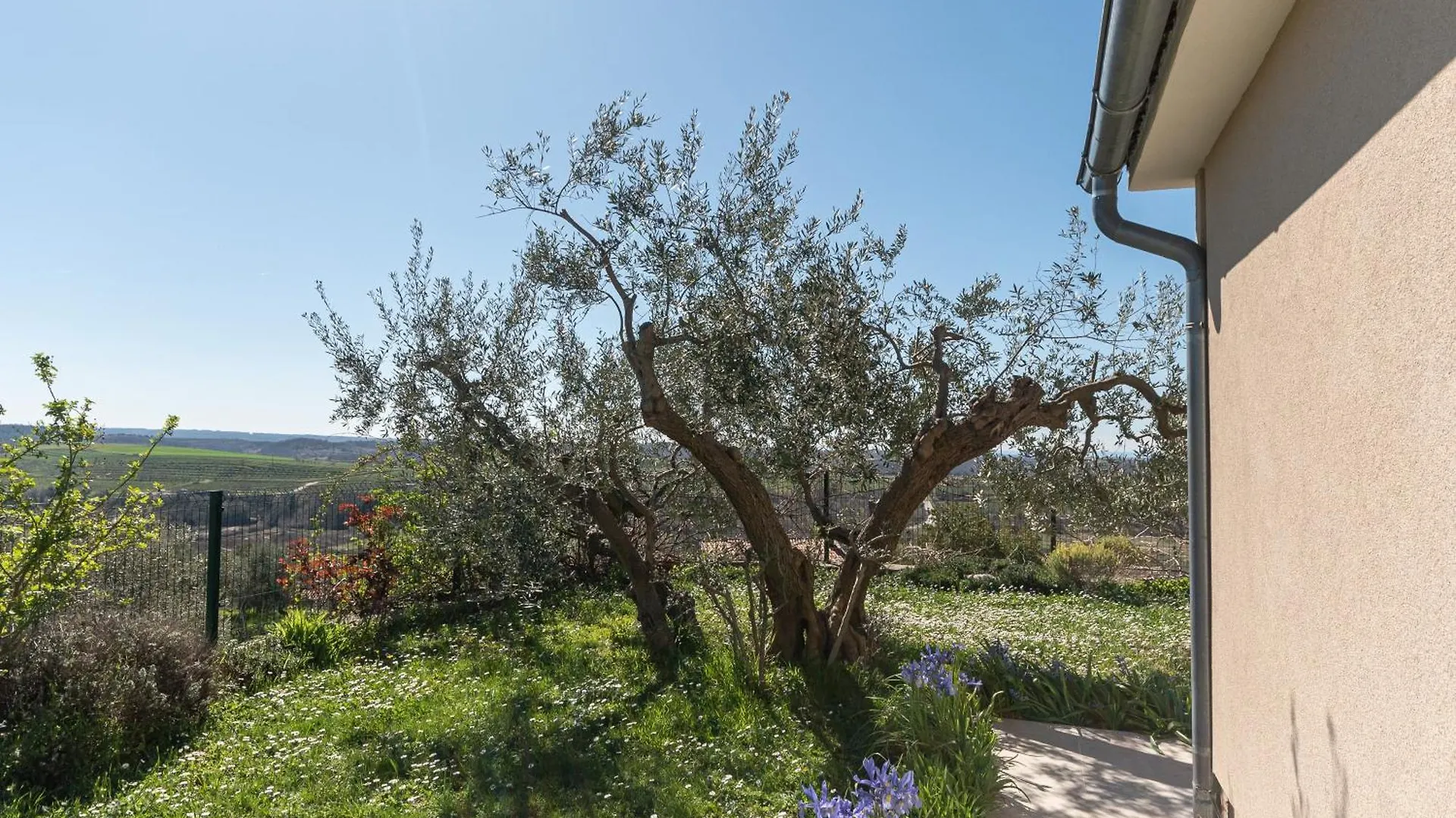 Holiday home Villa Sofia Buje
