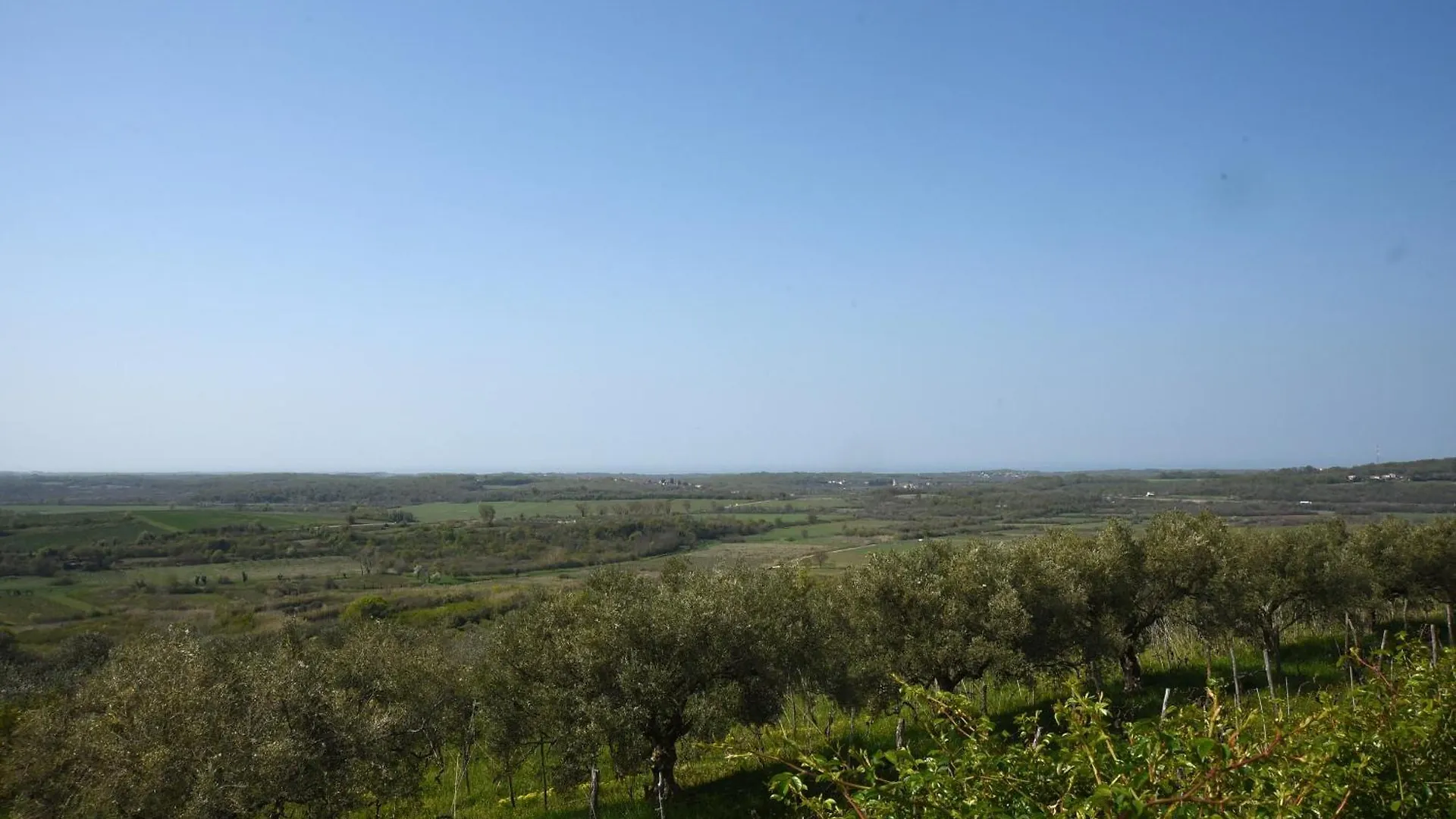 Villa Sofia Buje Holiday home