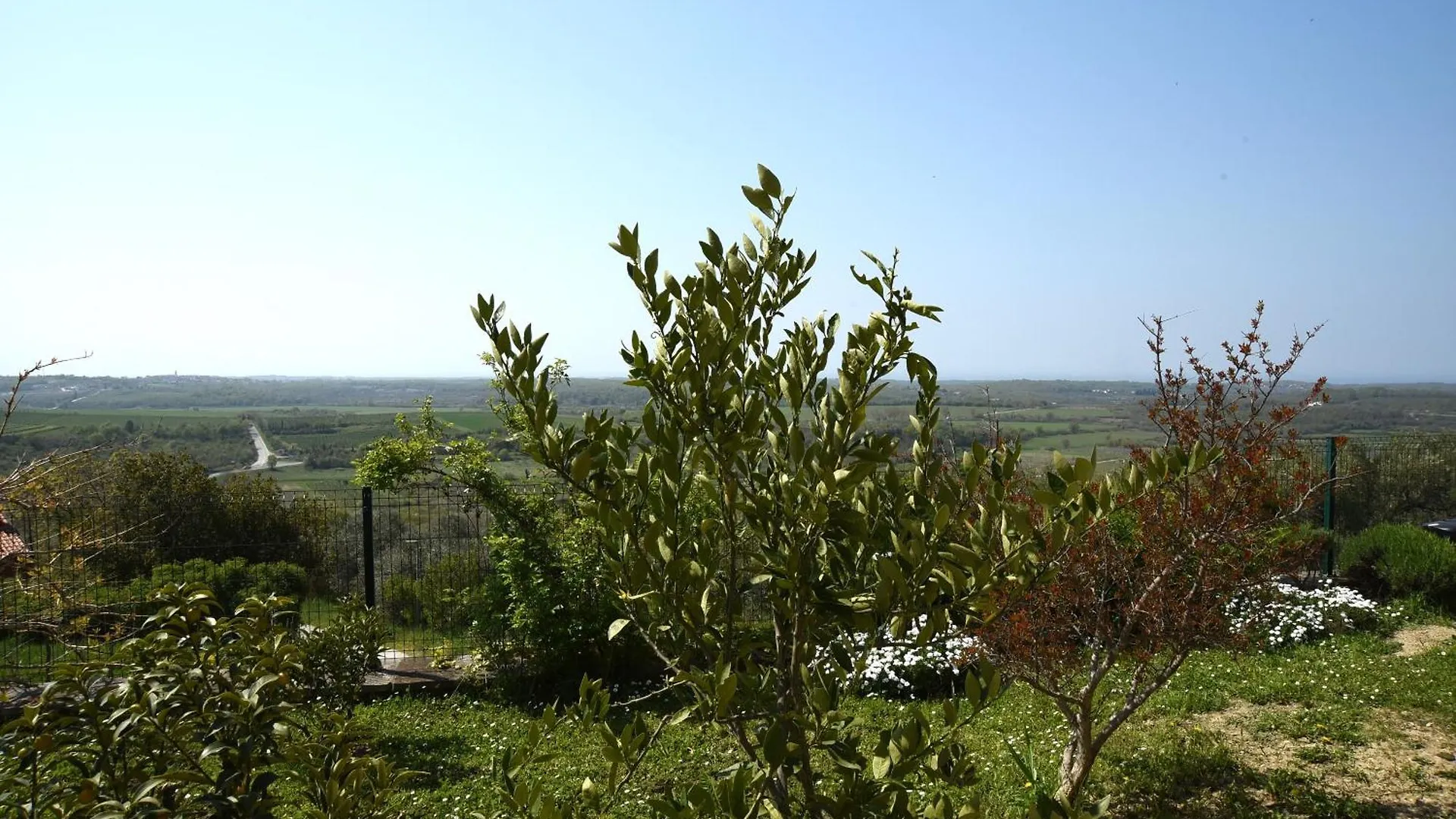 Holiday home Villa Sofia Buje