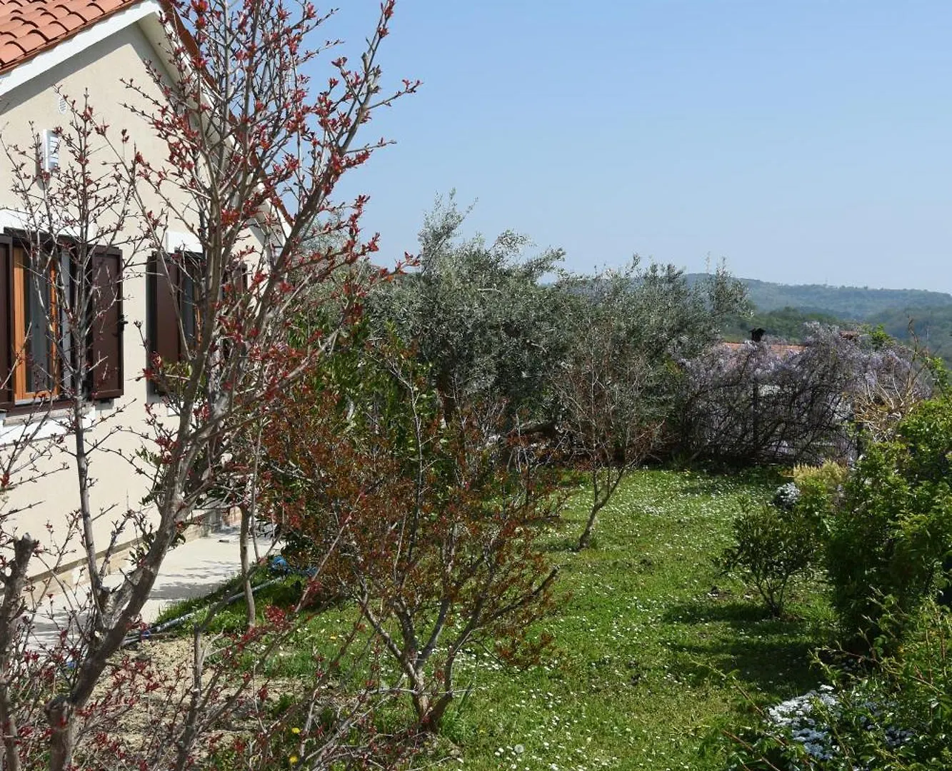 Villa Sofia Buje